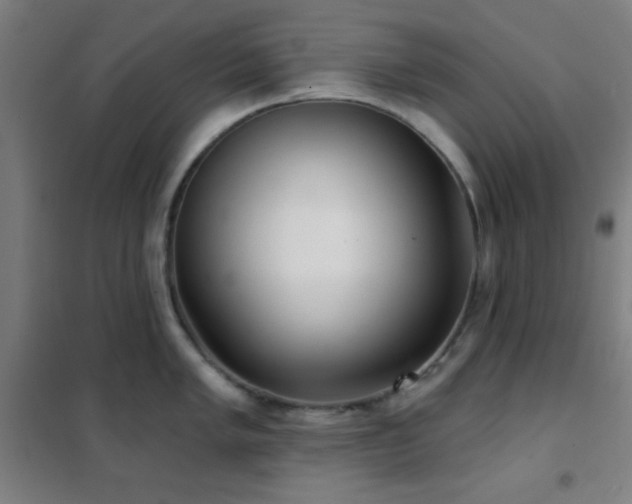 X0000102281005200807251354
