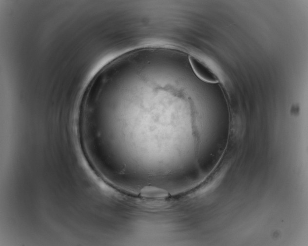 X0000102281007200807251354
