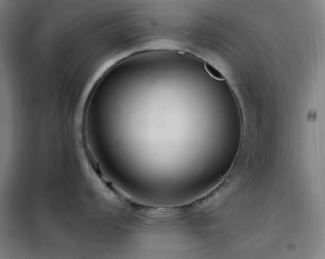 X0000102281008200807251354