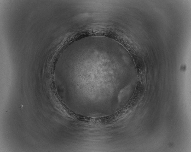 X0000102281009200807251353