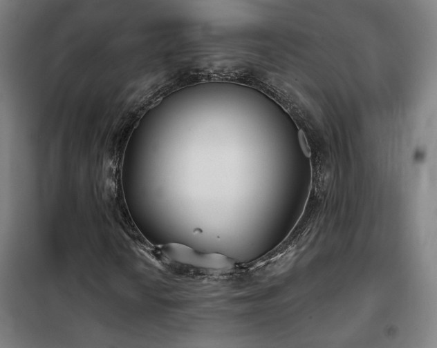 X0000102281010200807251353