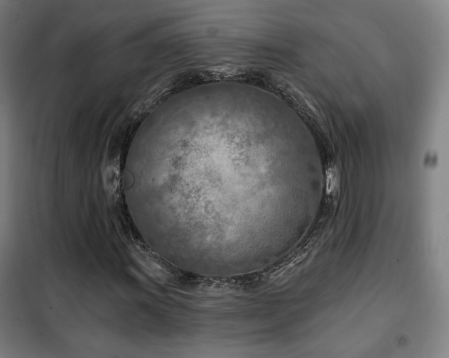 X0000102281011200807251353