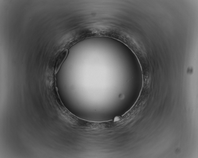 X0000102281012200807251353