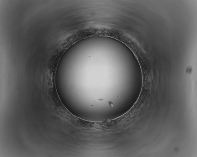 X0000102281013200807251353