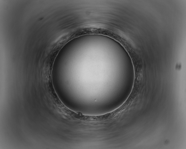 X0000102281014200807251353