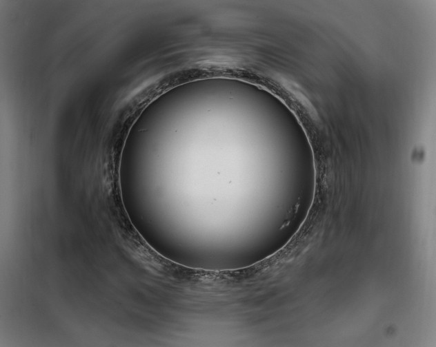 X0000102281015200807251353