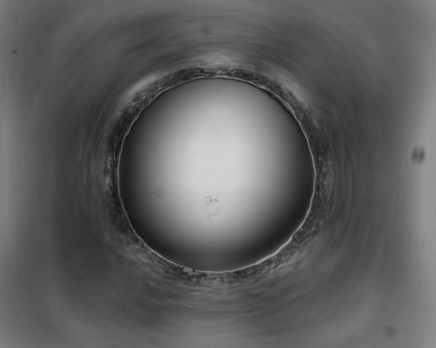 X0000102281016200807251353