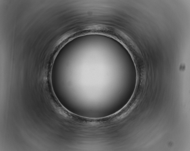 X0000102281017200807251353