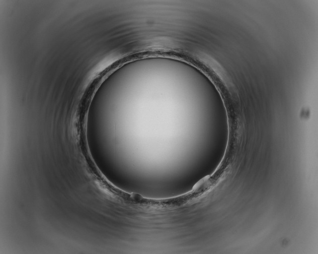 X0000102281018200807251353