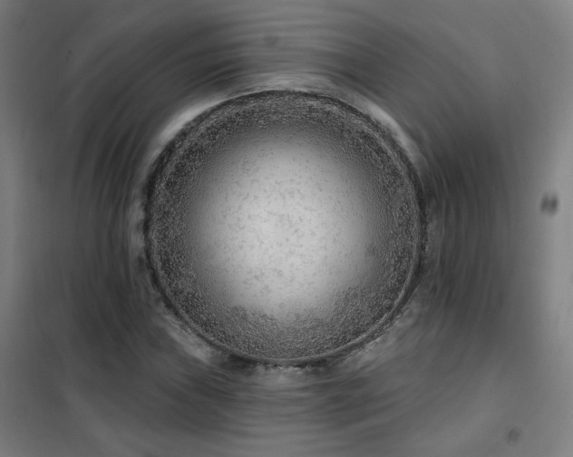 X0000102281019200807251353