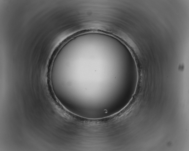 X0000102281020200807251353