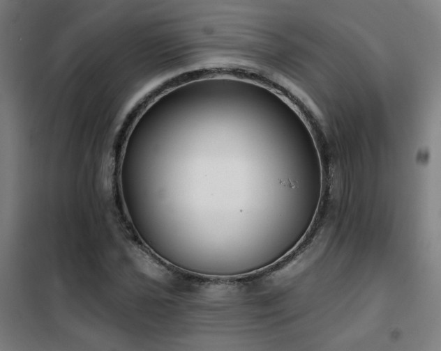 X0000102281021200807251353