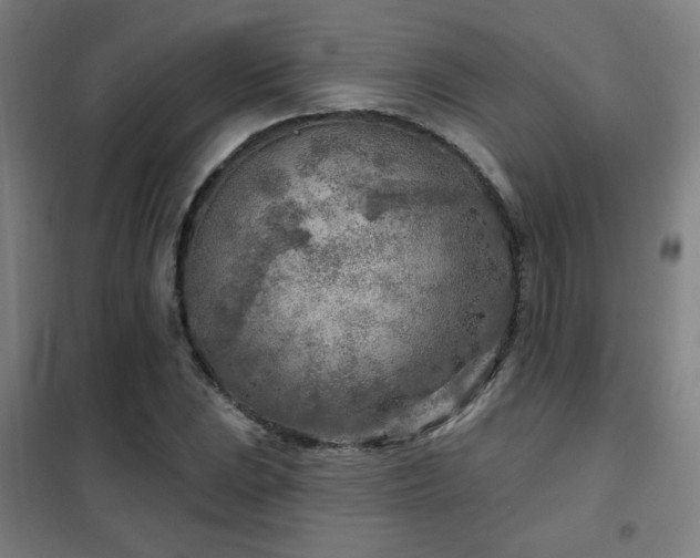 X0000102281023200807251353
