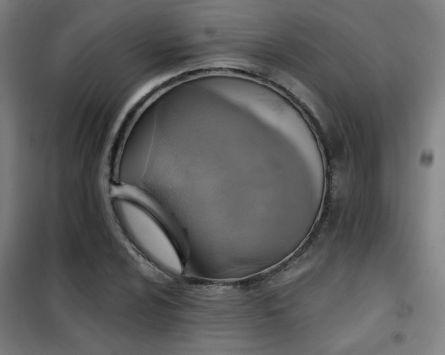 X0000102281024200807251353