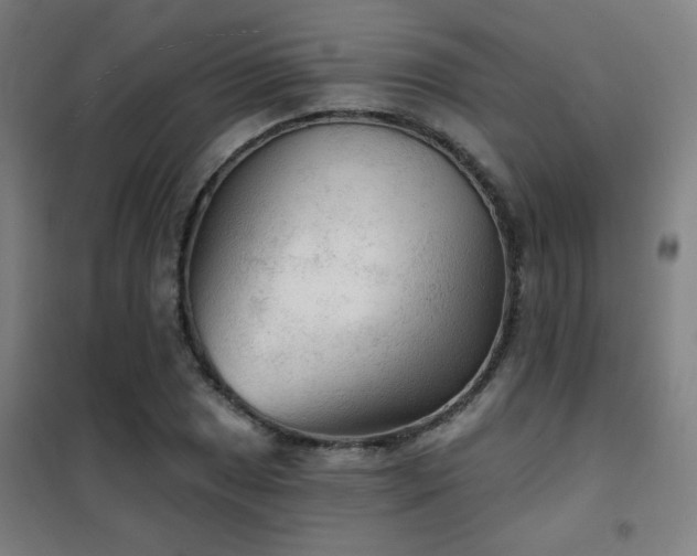 X0000102281025200807251353