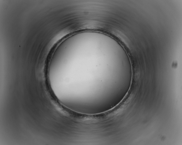 X0000102281026200807251354