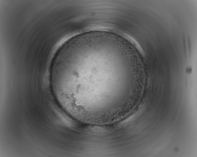 X0000102281027200807251354