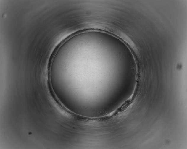 X0000102281028200807251354