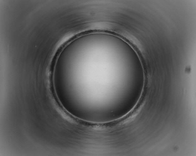 X0000102281029200807251354