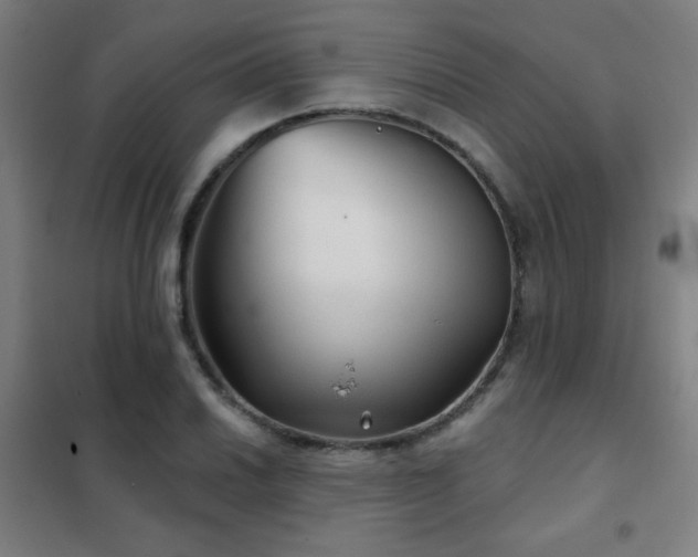 X0000102281030200807251354