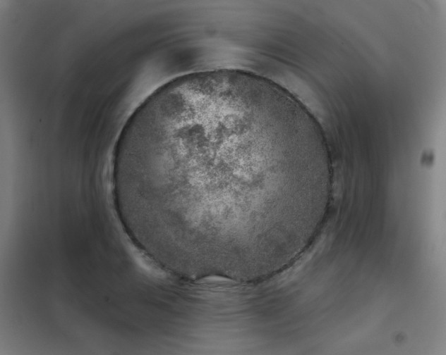 X0000102281031200807251354