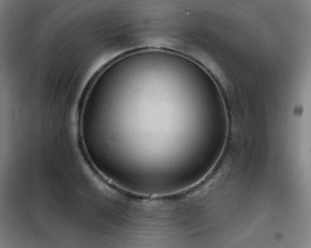 X0000102281032200807251354