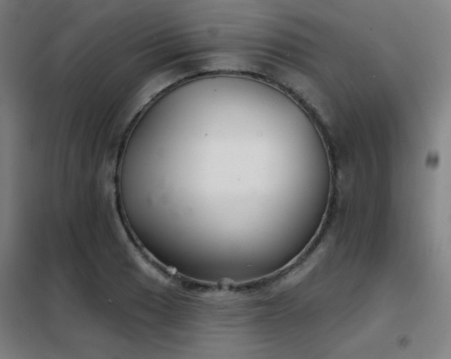 X0000102281033200807251354