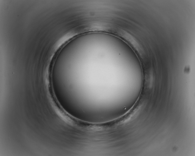 X0000102281034200807251354
