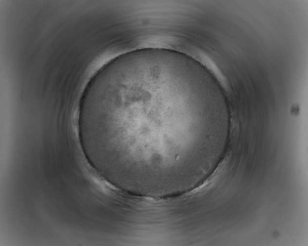 X0000102281035200807251354