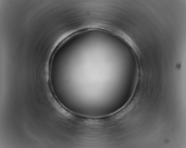 X0000102281036200807251354
