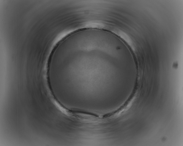 X0000102281037200807251354