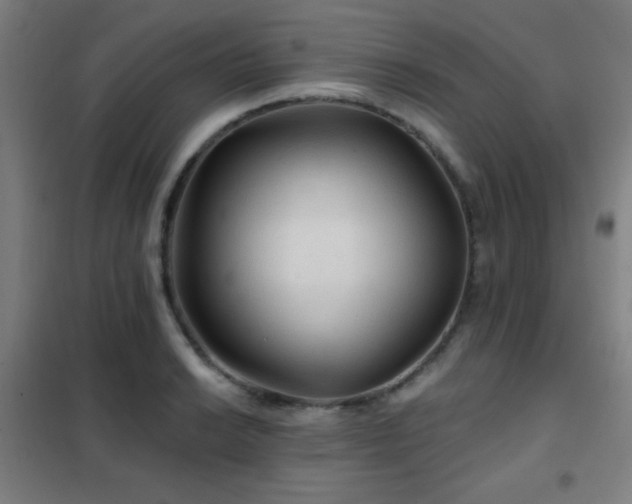 X0000102281038200807251354