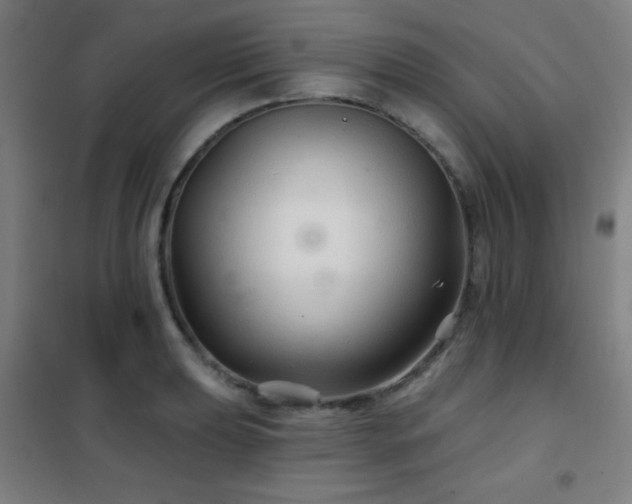 X0000102281039200807251354