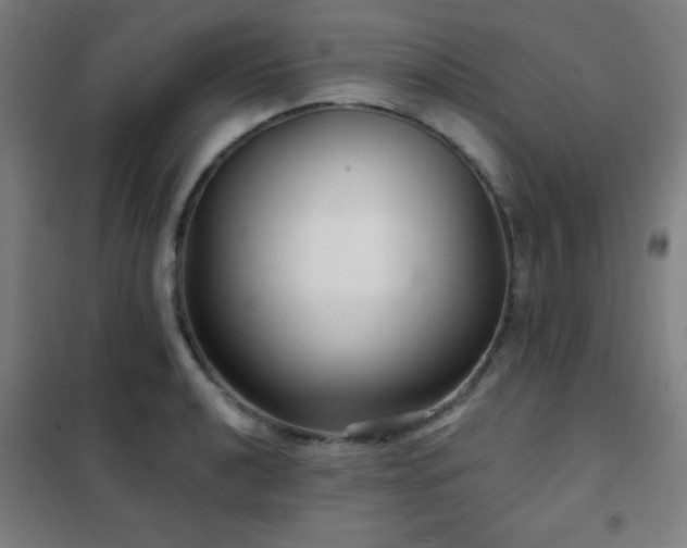 X0000102281040200807251354