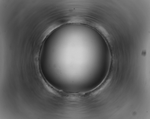 X0000102281041200807251354