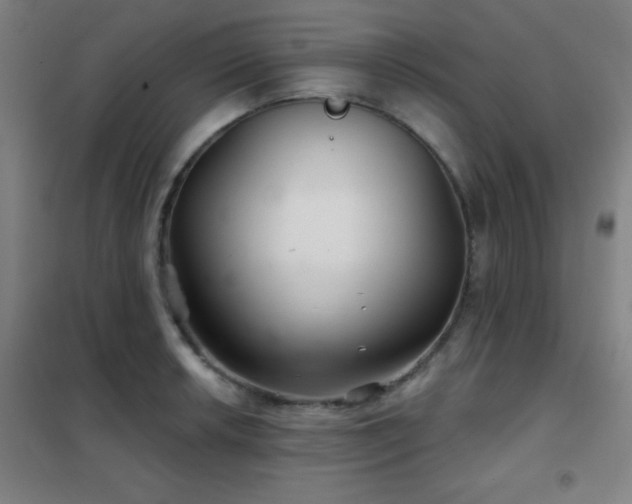 X0000102281042200807251354