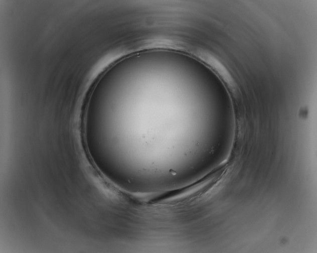 X0000102281043200807251354