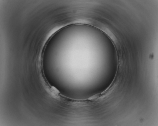 X0000102281044200807251354