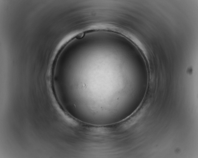 X0000102281045200807251354