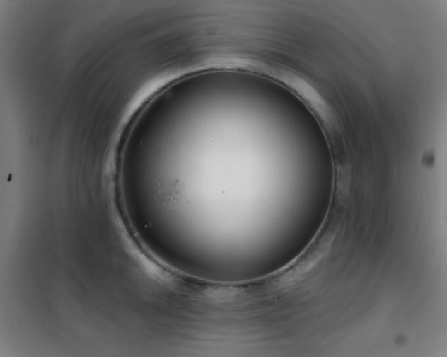 X0000102281046200807251354