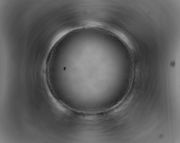 X0000102281047200807251354