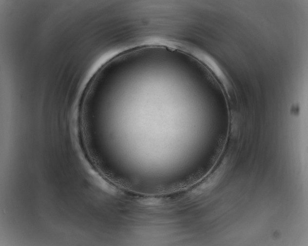 X0000102281048200807251354
