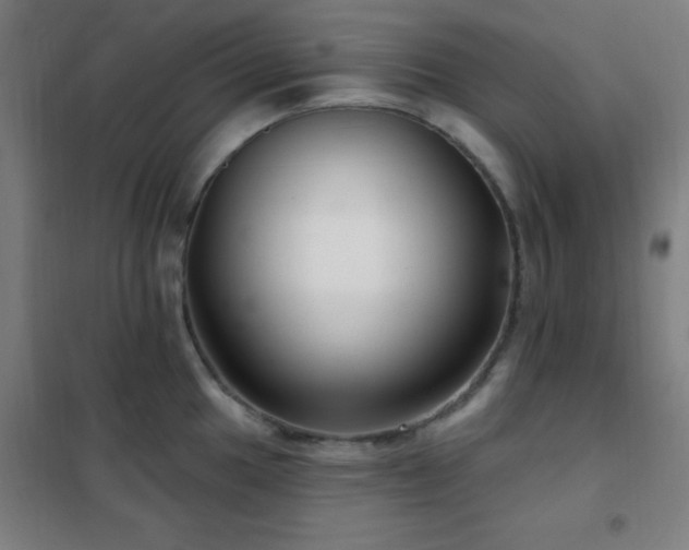 X0000102281049200807251354