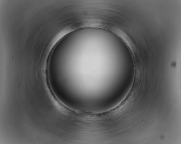 X0000102281050200807251354