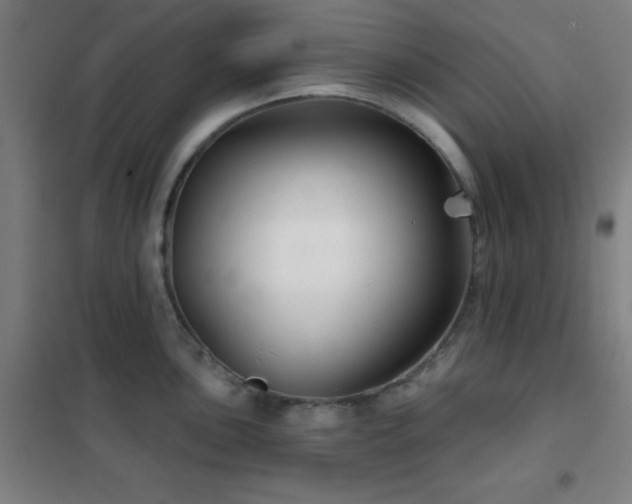X0000102281051200807251354