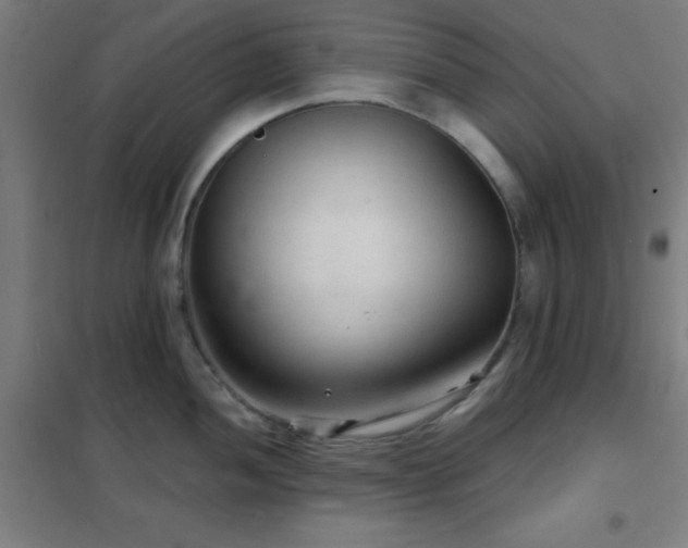 X0000102281052200807251354