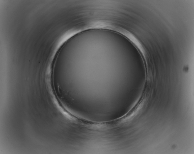 X0000102281053200807251354