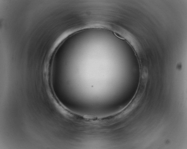 X0000102281054200807251354