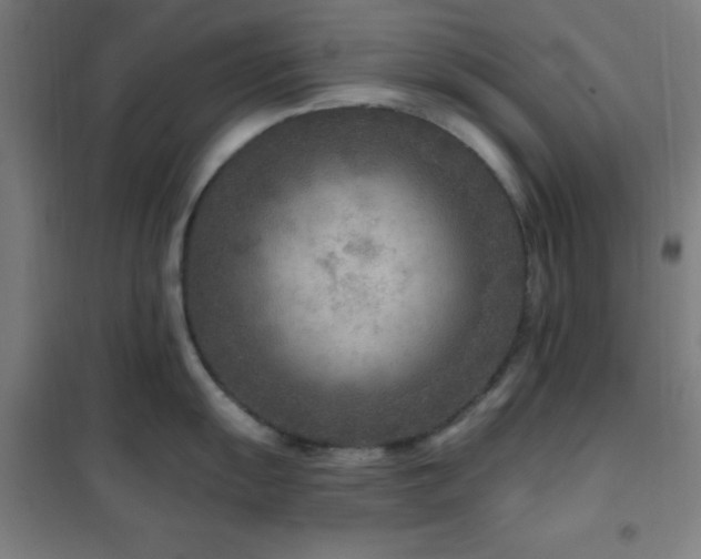 X0000102281055200807251354