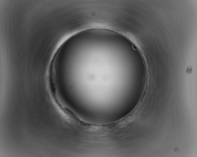 X0000102281056200807251354